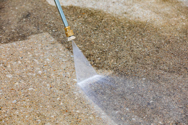 Animal Enclosure Cleaning in Lebanon, PA